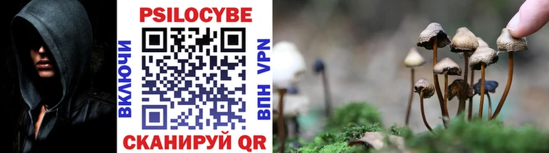 Псилоцибиновые грибы MAGIC MUSHROOMS  Нахабино 